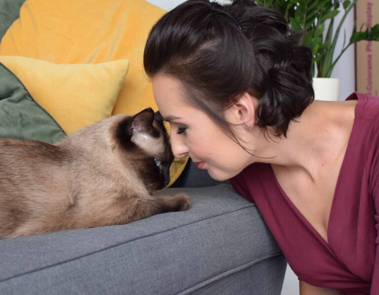 kocia niania i gordon